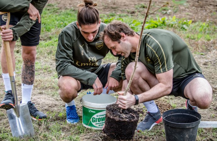 ‘Green team’ Arsenal plants 500-tree wood at training ground