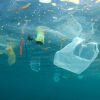 Why sports organisations should take the Clean Seas pledge