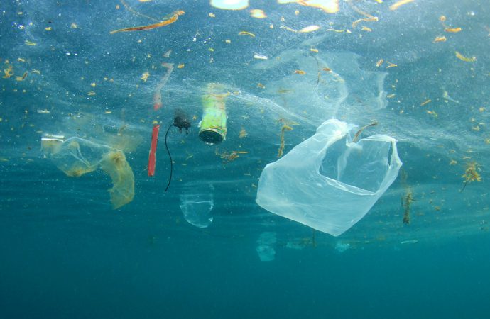 Why sports organisations should take the Clean Seas pledge