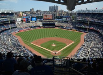 New York Yankees appoint sport’s first environmental science advisor