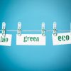 Five steps to avoid greenwashing