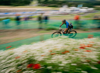 Bats, badgers and bikes: Preserving wildlife at the UCI World Championships